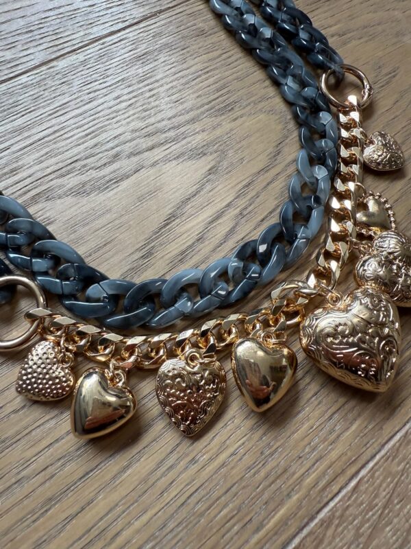 NM25 SILVANA